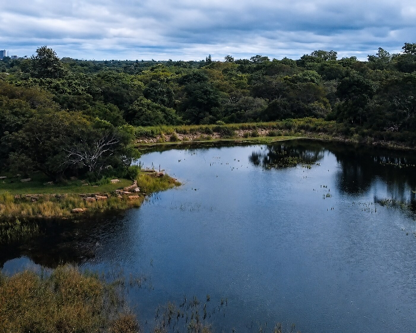 The Lower Dam filled with rainwater, bordered by green woodland