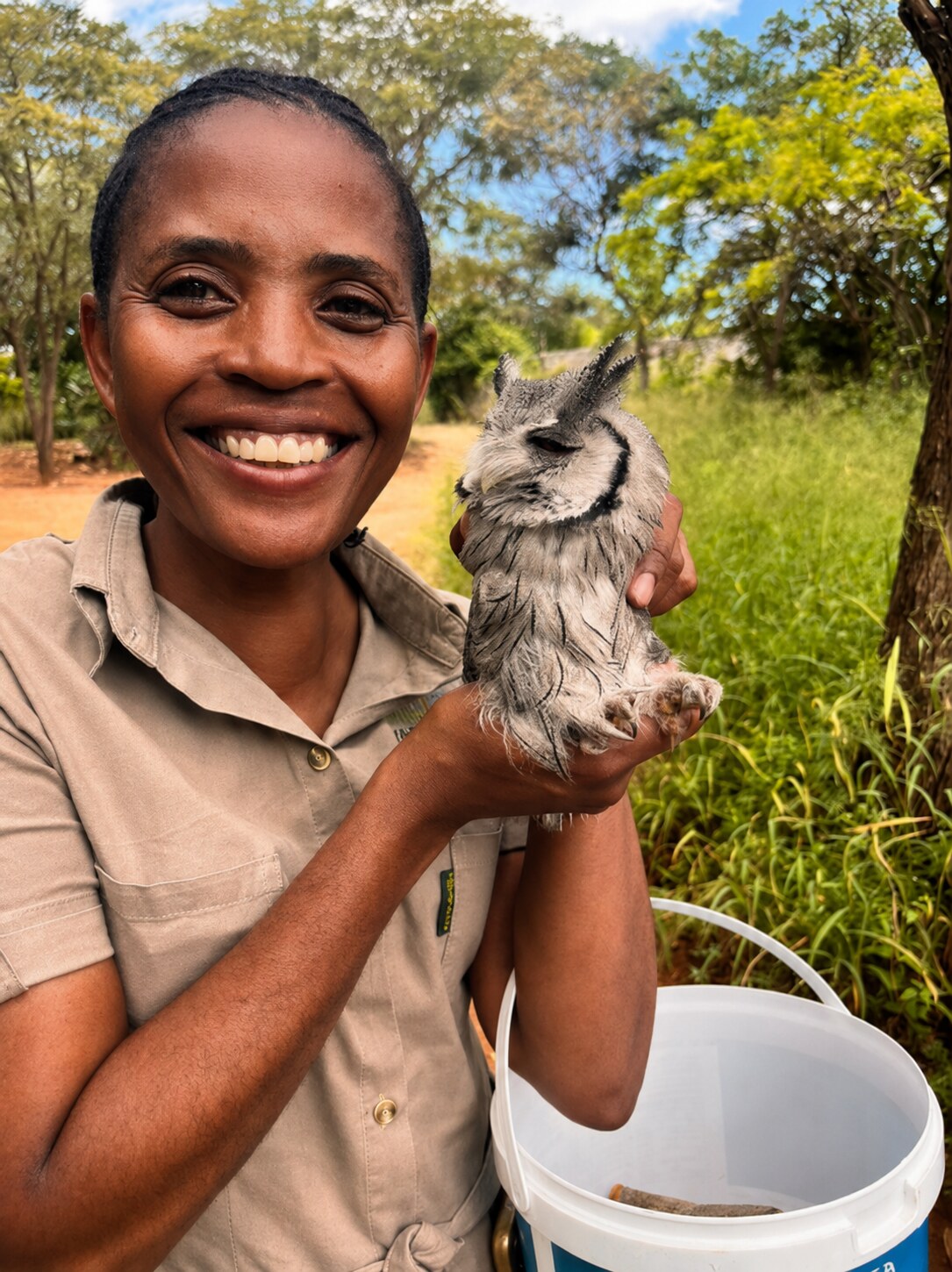 A Conservancy team member holding the rescued owl before rehabilitation