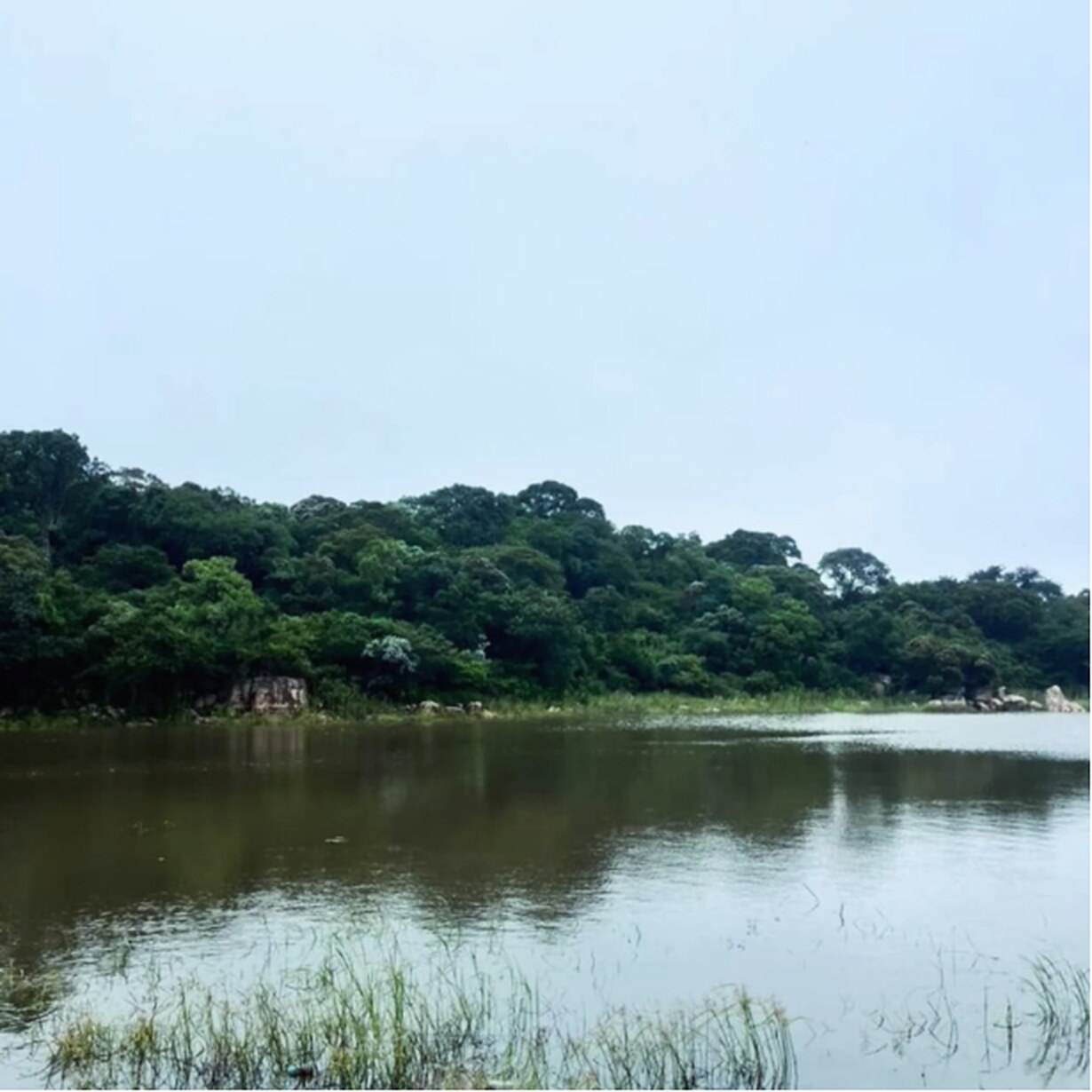 A calm dam filled after sustained rainfall